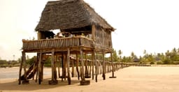 kipungani-explorer-6PvpQ.jpg 3