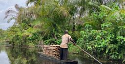 la-riviere-noire-iMU6N.jpg 3