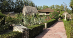 le-calao-du-lac-rose-oOCVJ.jpg 3