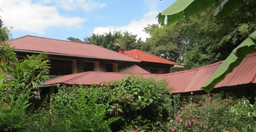 le-jacaranda-hotel-Cu8SXUNWrV.jpeg 1