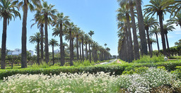 le-parc-de-la-ligue-arabe-NZd8sO27qV.jpg 2