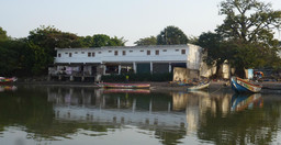le-perroquet-1.jpg 2