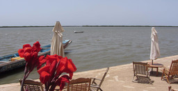 le-perroquet-2.jpg 3