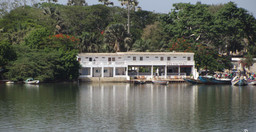 le-perroquet.jpg 1