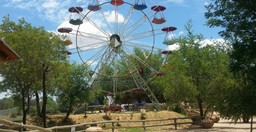 lion-park-resort.jpg 1