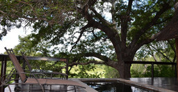 lodge-elephant-plains-4lzb8.jpg 3