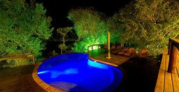 lodge-elephant-plains-tlXET.jpg 2