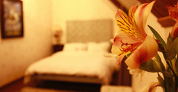lokanga-boutique-hotel-3.jpg 3