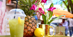mama-rocks-the-alchemist-bar-1.jpg 1