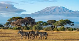 masai-mara-lake-nakuru-amboseli-lponB.jpg 3