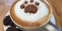 matbronze-cafe-JfBMJY1MDq.jpg 1