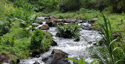 materuni-village-and-waterfall-day-tour-Smjtj.jpg 2