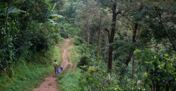 materuni-waterfalls-day-trip-kF8AR.jpg 3