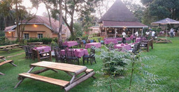 miso-gardens-1.jpg 1