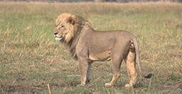 moremi-day-trip-14elg.jpg 1