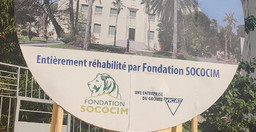 musee-theodore-monod-dart-africain-de-lifan-1.jpg 1