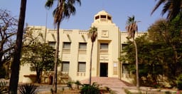 musee-theodore-monod-dart-africain-de-lifan.jpg 1