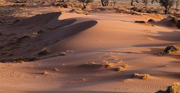 namibrand_nature_reserve-idYjG.jpg 2