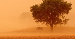 namibrand_nature_reserve-sfBJ7.jpg 1