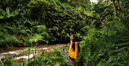 napuru-waterfalls-a-hidden-gem-on-mount-meruactive-QjPK3.jpg 2
