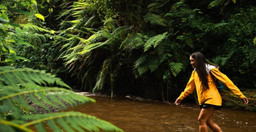 napuru-waterfalls-a-hidden-gem-on-mount-meruactive-x3NTB.jpg 3
