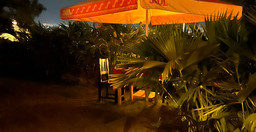 new-cactus-2.jpg 2