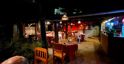 new-cactus-3.jpg 3
