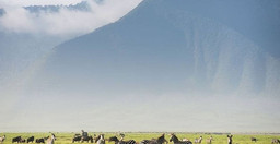 ngorongoro-crater-day-tour-9XZDH.jpg 3