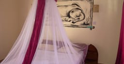 nyali-springs-guest-house-resort-3.jpg 3