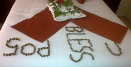 okavango-roadside-guesthouse-1.jpg 2