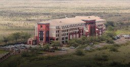 ole-sereni-3.jpg 3