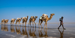 omo-valley-and-denakil-depression-unique-experience-MjHDvxQYOY.jpeg 2