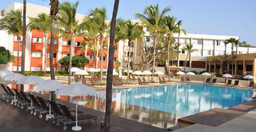 palm-beach.jpg 1