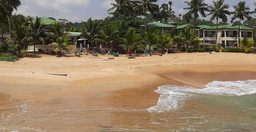 palm-rock-beach-W48rS.jpg 2