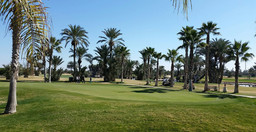 palmeraie-resorts-NwLnj.jpg 1