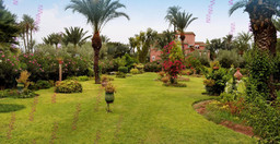 palmeraie-resorts-PJPZd.jpg 3