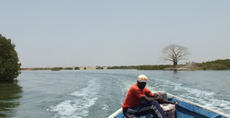 parc-national-du-delta-du-saloum-3.jpg 3