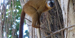 rainforests-to-canyons-tour-cB3Og.jpg 1