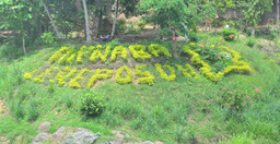 randonnee-bio-dans-une-plantation-9qZtwLu7Rt.jpeg 3
