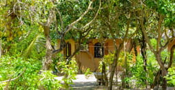 restaurant-au-campement-les-baobabs-Z9RWj.jpg 2