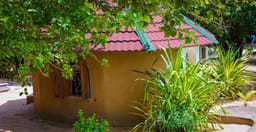 restaurant-au-campement-les-baobabs-zHy6l.jpg 1