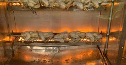 restaurant-glacier-evazion.jpg 1