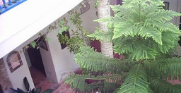riad-lalla-mogador-WqDC4.jpg 1