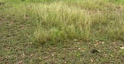 safari-and-voodoo-tour-jiPDE.jpg 2