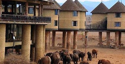 safari-au-kenya10-jours-41BTG.jpg 2