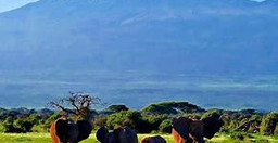 safari-au-kenya10-jours-qraaB.jpg 3