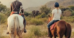 samburu-luxury-safari-A56Ya.jpg 3
