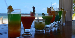 sandies_tropical_village-blbp4.jpg 3
