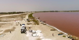 senegal-relaxant-Ei6Gt.jpg 2
