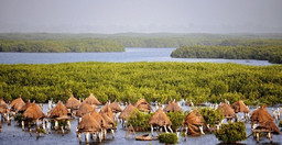 senegal-relaxant-cSMqS.jpg 1